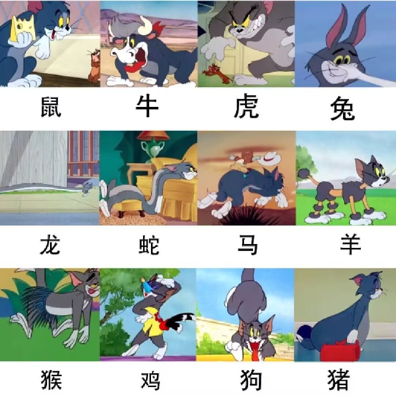 汤姆十二生肖😁