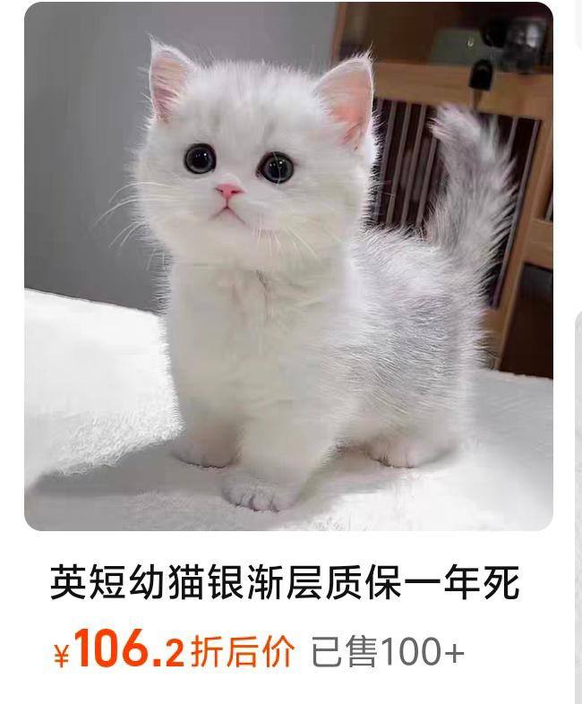 ？