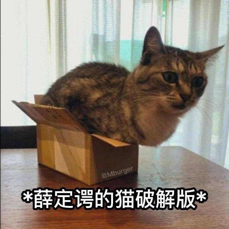 #猫猫