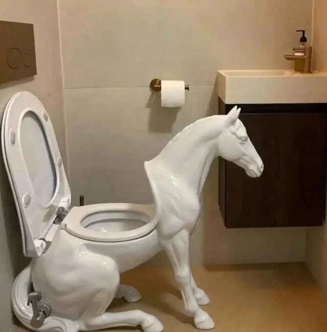 马桶骑士😄