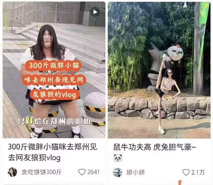 好家伙，神皮二人组😦