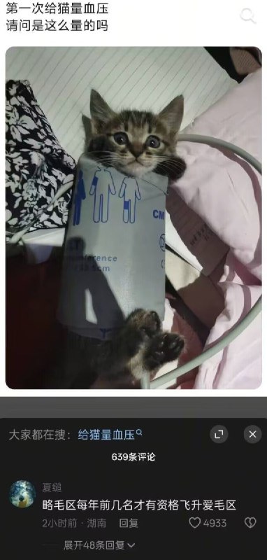 ……