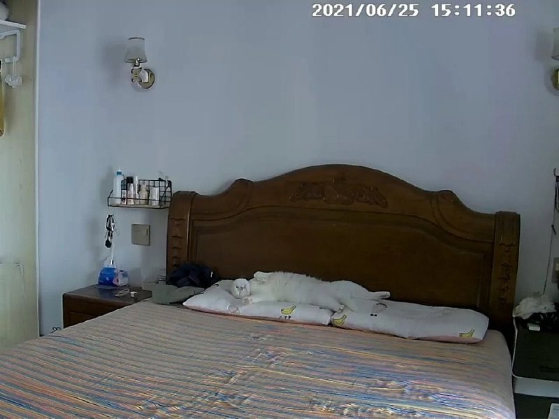 哈哈哈哈哈哈已经很努力克制自己了哈哈哈哈哈哈已经很努力克制自己了