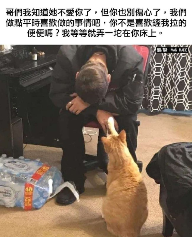 “你还是别拉了，不然我会想起她”约翰尼德普对他的猫说