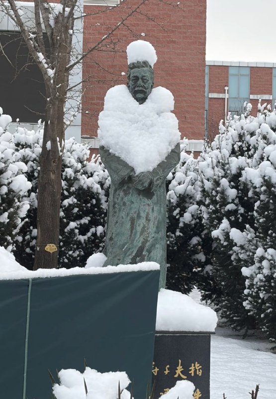 北京大雪过后鲁迅先生雕像变成了贵妇风……
