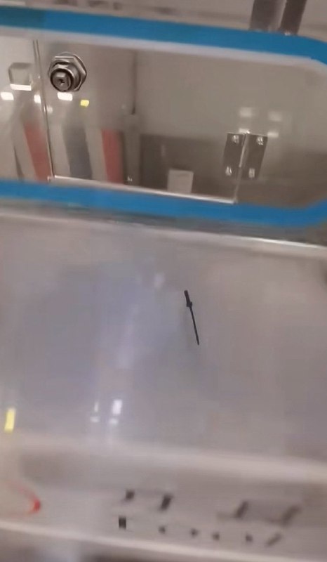 …………