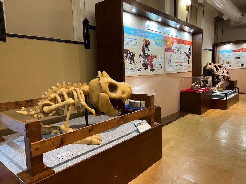 岛国将宝可梦标本搬进国立科学博物馆，和古生物标本形成一个对比……宝可梦的骨骼也好可爱！岛国将宝可梦标本搬进国立科学博物馆，和古生物标本形成一个对比……宝可梦的骨骼也好可爱！