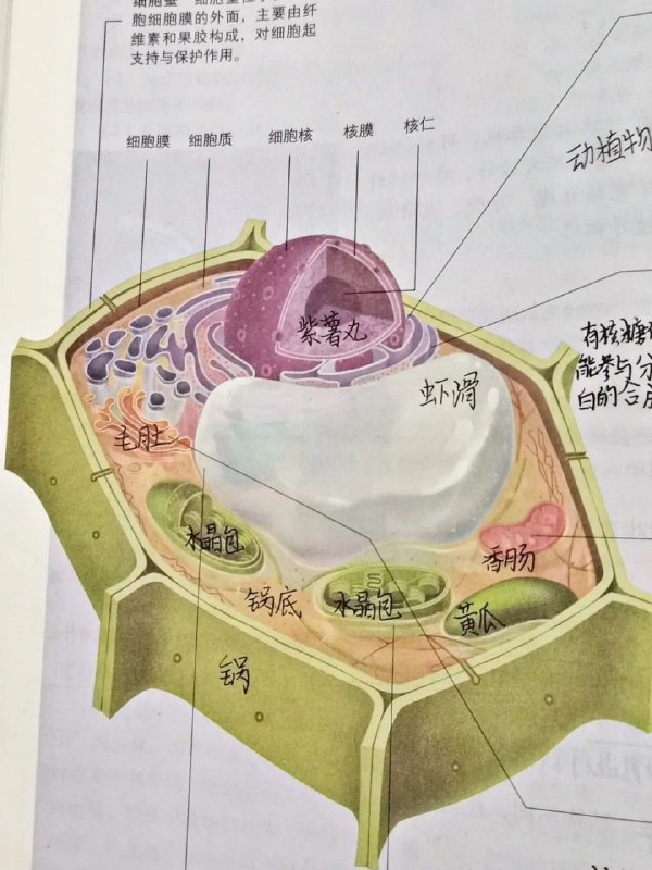 这课是越上越饿🤔这课是越上越饿🤔