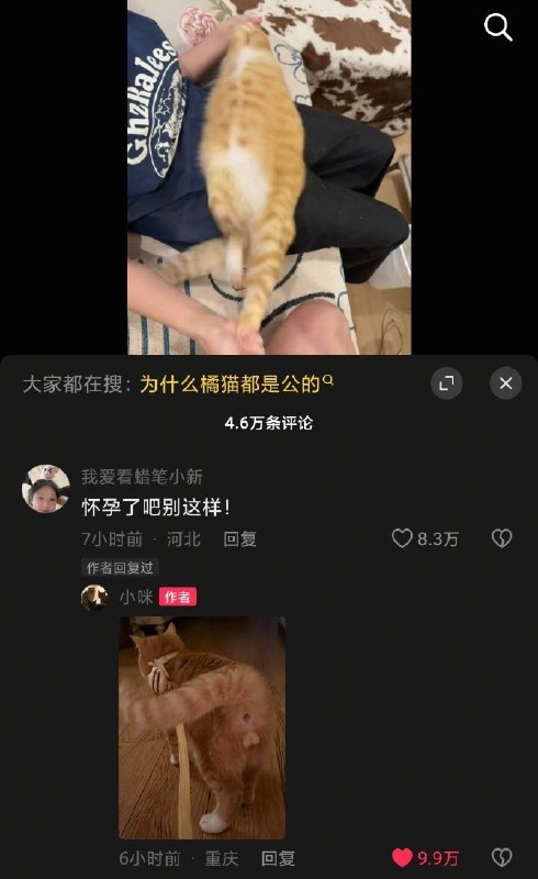 ……