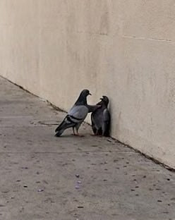 😧😧