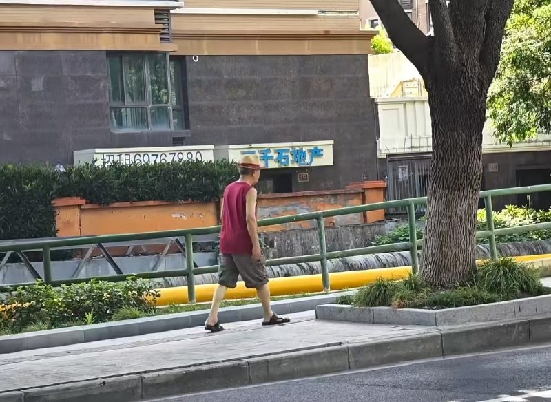 偶遇路飞