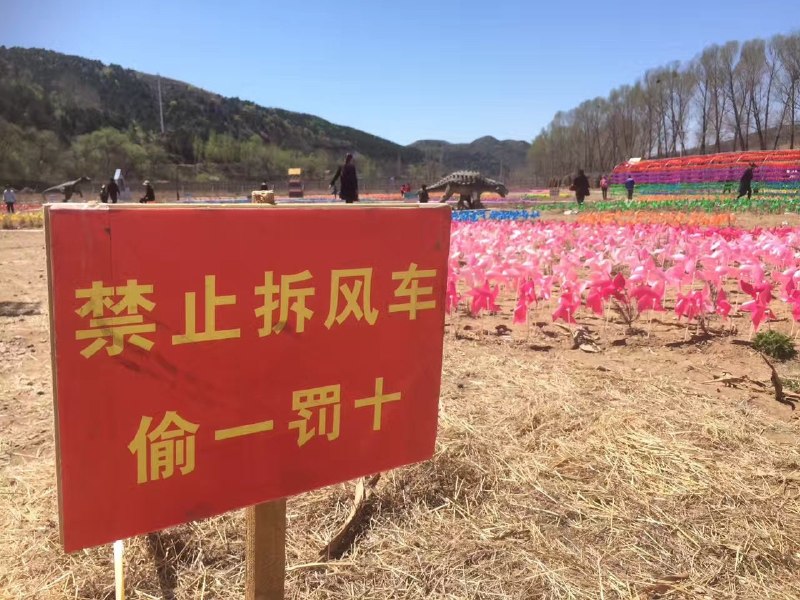 确实有风车……确实有风车……