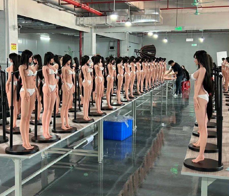 蒂法