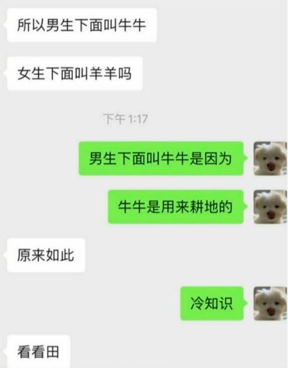 via YourKing 🈲️直接私聊