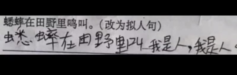 确实拟人😅