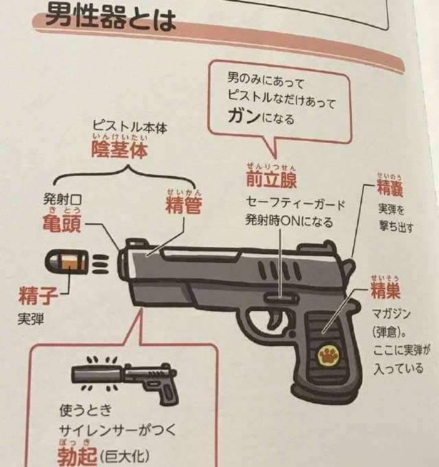 日本 容易理解的性教育图示🤔