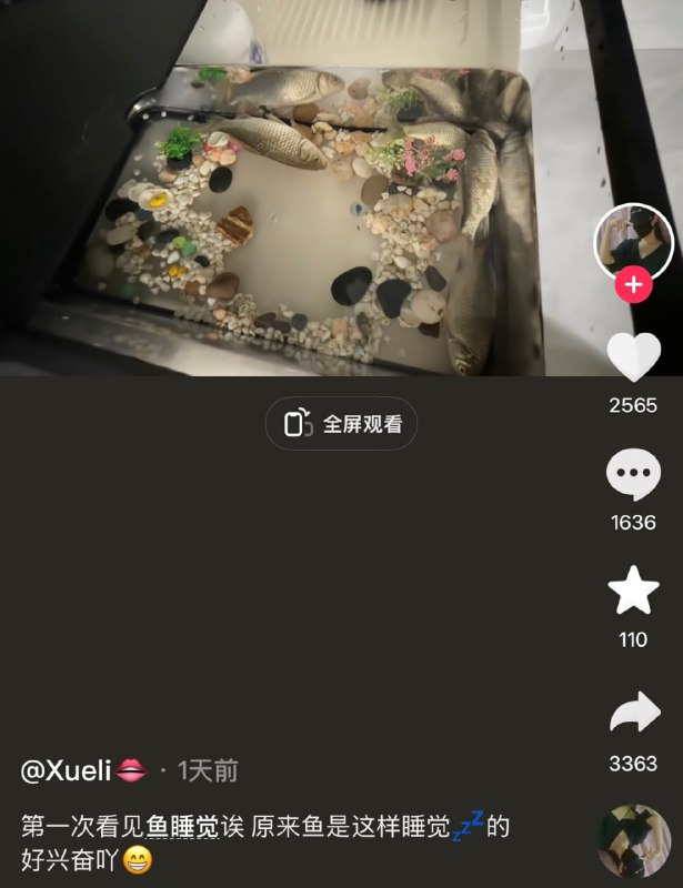 ？