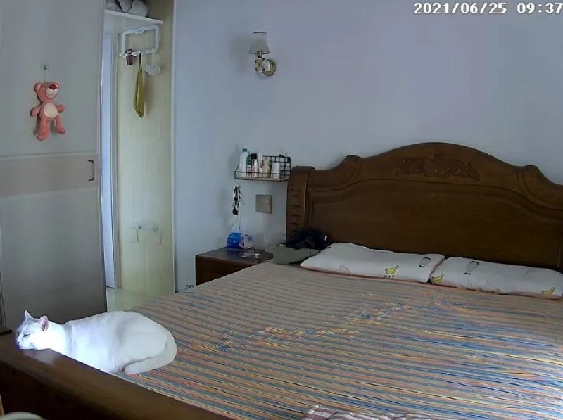 哈哈哈哈哈哈已经很努力克制自己了哈哈哈哈哈哈已经很努力克制自己了
