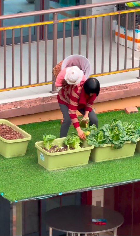 逆天老太😨逆天老太😨