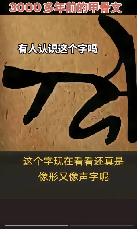 🤔🤔