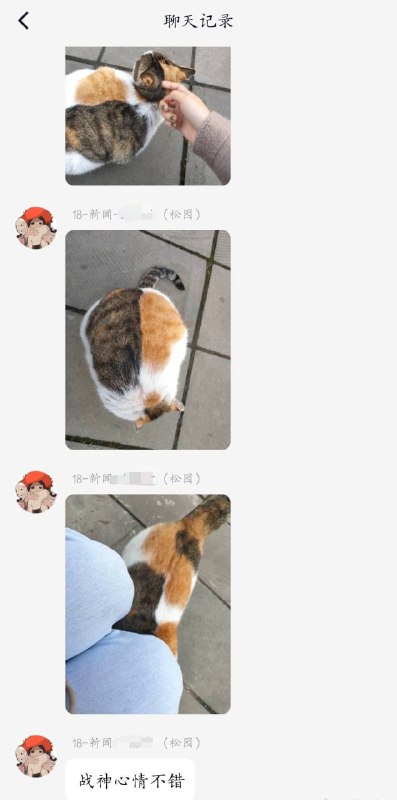 重庆大学校内的猫猫，因为很会打人所以名叫战神，这长得真是胖若两猫...#猫猫重庆大学校内的猫猫，因为很会打人所以名叫战神，这长得真是胖若两猫...#猫猫