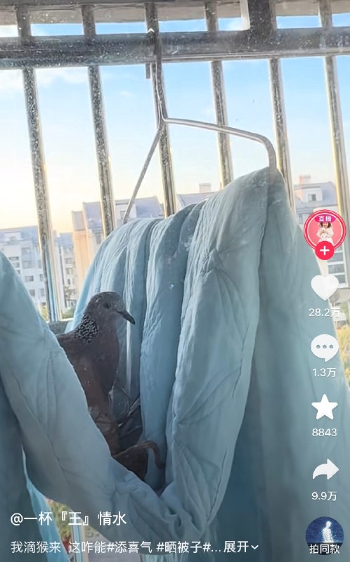绷不住了😅绷不住了😅