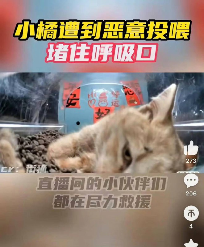 ？？