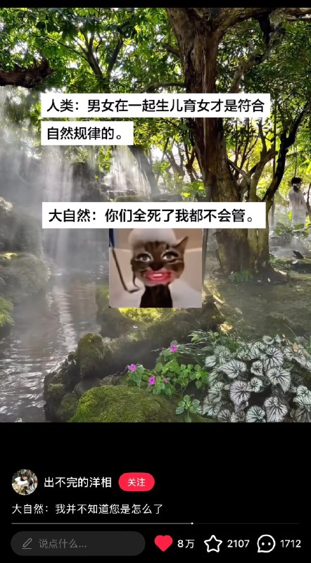 …………
