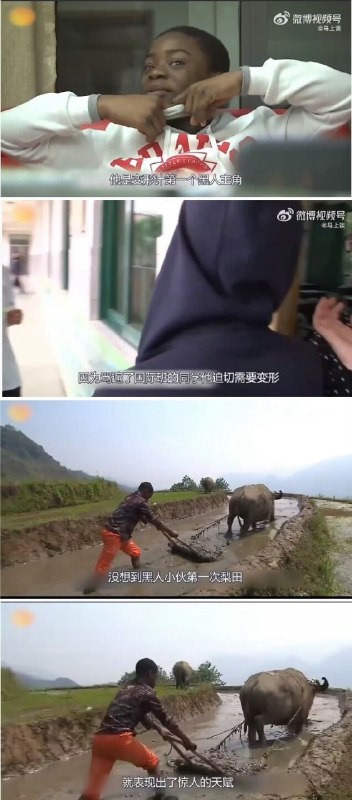 艹🌚