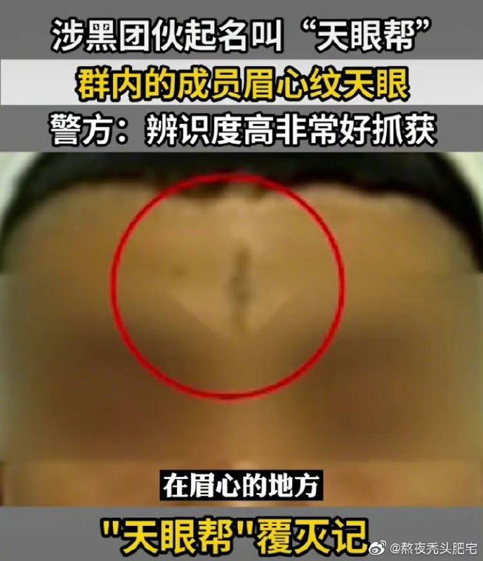 真•沙雕新闻