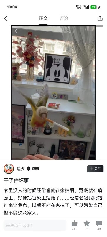 鹦鹉