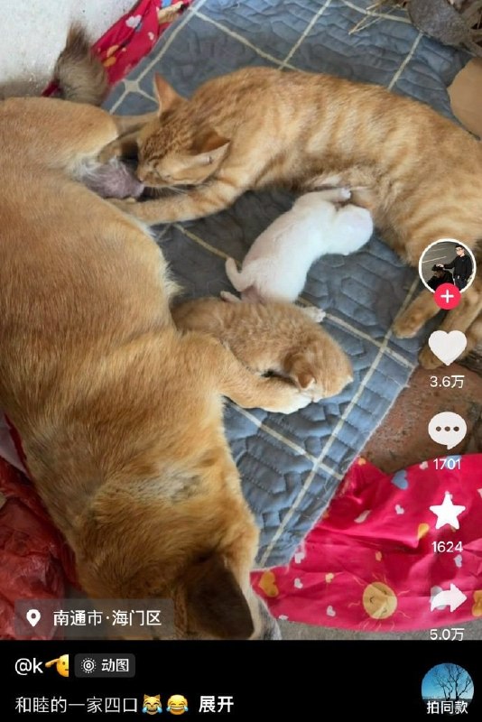 ？？？这对吗？？？？这对吗？