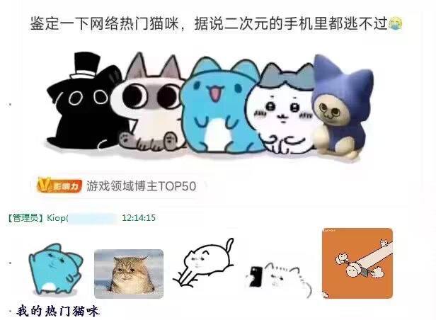 龙猫是吧