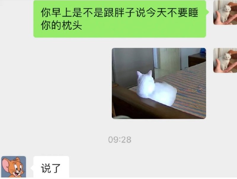 哈哈哈哈哈哈已经很努力克制自己了哈哈哈哈哈哈已经很努力克制自己了
