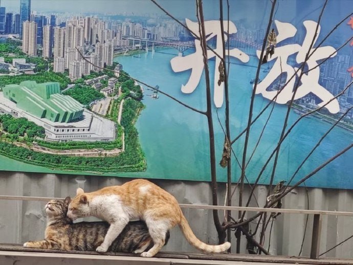 确实