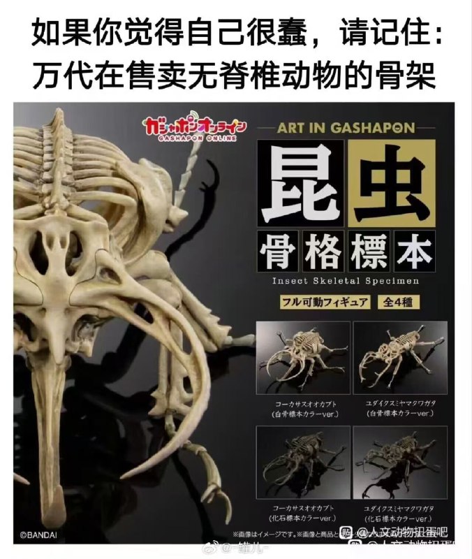 🤔