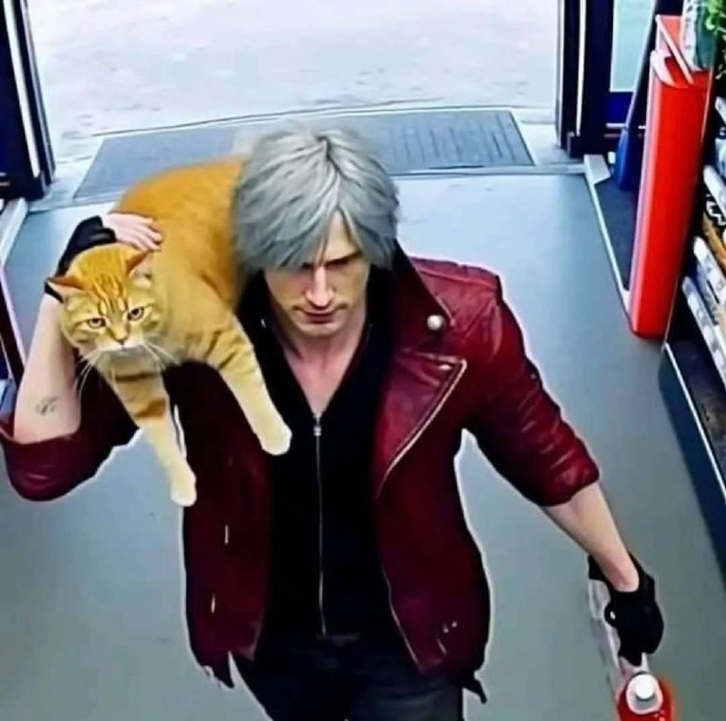 #猫猫