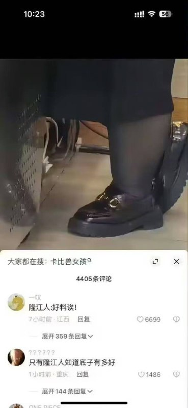 履带展示